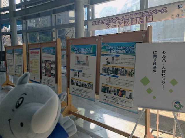 展示の様子（2）