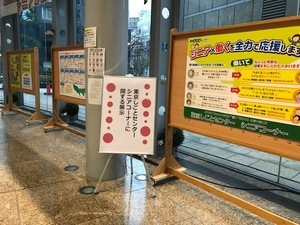 展示の様子（3）